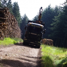 camion en forêt